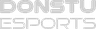 Donstu Esports