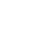 Team Spirit Academy