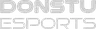 Donstu Esports