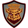 METANOIA WOLVES